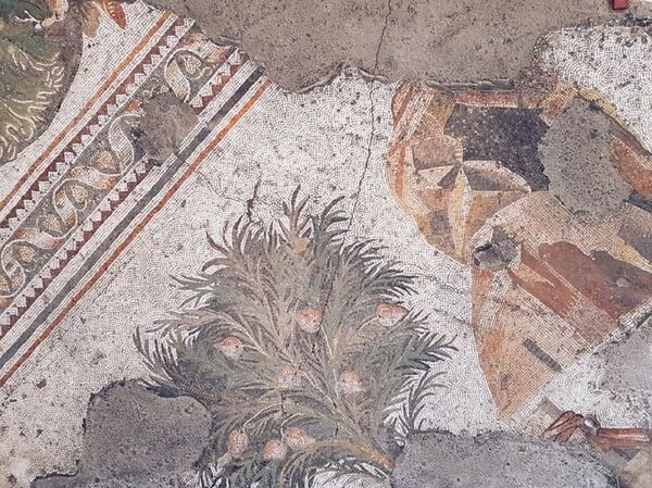 ათი დღე სტამბულში 300 ლარად: როგორ დავტკბეთ მოგზაურობით იაფად ათი დღე სტამბულში 300 ლარად: როგორ დავტკბეთ მოგზაურობით იაფად - Sputnik საქართველო