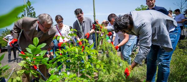 თბილისის მერიის გარემოს დაცვის საქალაქო სამსახურმა, კუს ტბის მიმდებარე ფერდობზე გამწვანების მასშტაბური ღონისძიება გამართა - Sputnik საქართველო