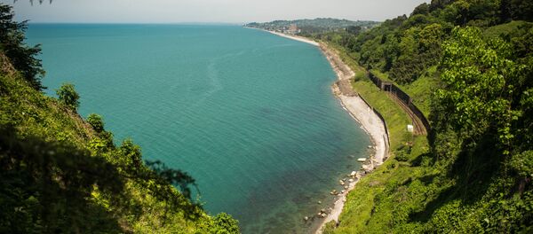 აჭარის ბოტანიკური ბაღი ბათუმიდან 9 კილომეტრში მდებარეობს აჭარის ბოტანიკური ბაღი ბათუმიდან 9 კილომეტრში მდებარეობს - Sputnik საქართველო