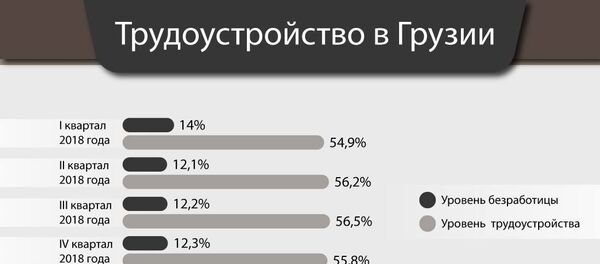 Безработица в Грузии - последние данные - Sputnik Грузия