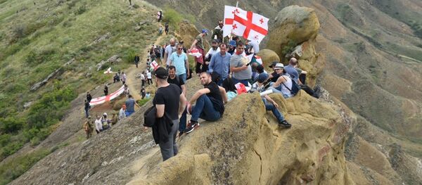 Акция протеста в Давид-Гареджи - Sputnik Грузия