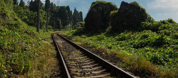 Железная дорога - Sputnik Грузия