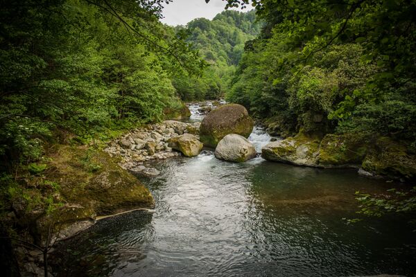 Грузинский национальный парк Мтирала получил Туристический Оскар - Sputnik Грузия