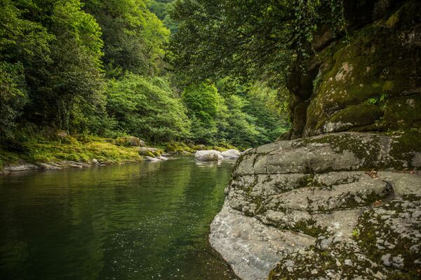 Грузинский национальный парк Мтирала получил Туристический Оскар - Sputnik Грузия