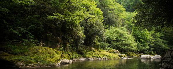 აჭარა - Sputnik საქართველო
