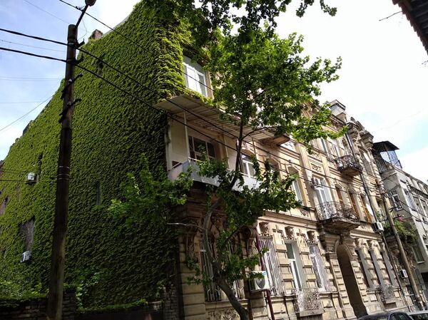 Тифлис в деталях - вверх по Грибоедовской улице - Sputnik Грузия