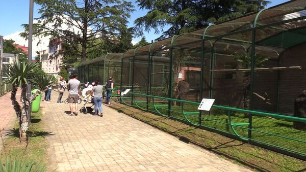 Новая достопримечательность Батуми - как выглядит городской зоопарк после ремонта - Sputnik Грузия