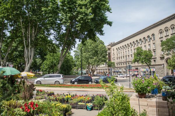 В рамках реконструкции на площади и в парке также посадили новые деревья - Sputnik Грузия