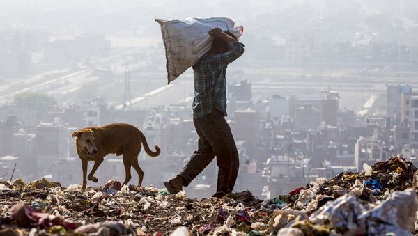 Индиец отбирает вещи с мусорной свалки на переработку в Нью-Дели, Индия - Sputnik Грузия