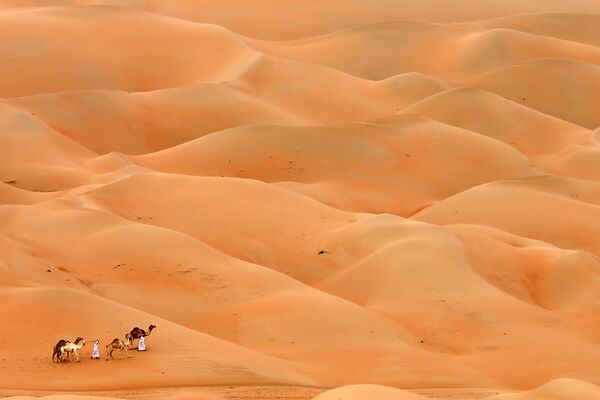 Мужчины с верблюдами проходят через пустыню Хамим, Абу-Даби - Sputnik Грузия
