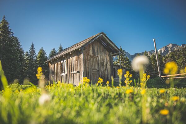 პედიატრის რჩევები: როგორ უნდა შევარჩიოთ ბავშვისთვის საზაფხულო კურორტი  - Sputnik საქართველო