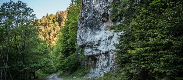 საირმე საირმე - Sputnik საქართველო