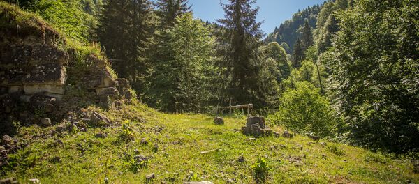 გომისმთა გომისმთა - Sputnik საქართველო