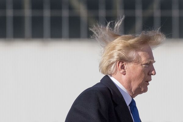 Ветер растрепал волосы президента США Дональда Трампа перед вылетом во Вьетнам для участия в ежегодном саммите Азиатско-Тихоокеанского экономического сотрудничества - Sputnik Грузия