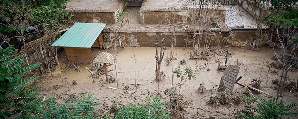 Разрушенная наводнением территория Тбилисского зоопарка. Из серии Тбилисское наводнение 13 июня - Sputnik Грузия