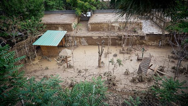 Разрушенная наводнением территория Тбилисского зоопарка. Из серии Тбилисское наводнение 13 июня - Sputnik Грузия