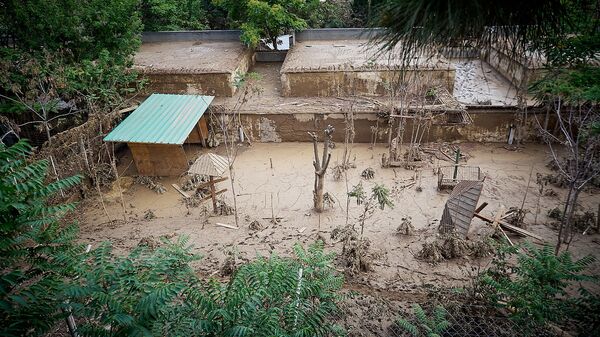 Разрушенная наводнением территория Тбилисского зоопарка. Из серии Тбилисское наводнение 13 июня - Sputnik Грузия