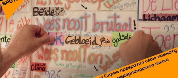 Беженец из Сирии превратил свою комнату в словарь голландского языка - Sputnik Грузия