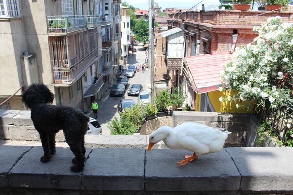 Вифлеемский квартал Тбилиси - шкатулка с сюрпризами - Sputnik Грузия