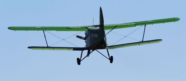 Самолет Ан-2. Архивное фото - Sputnik Грузия