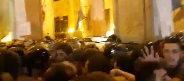 აქცია საქართველოს პარლამენტთან - Sputnik საქართველო