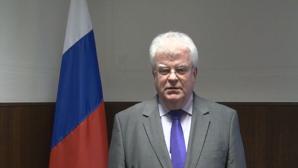 Москва остается открытой — постпред России при ЕС о расследовании крушения MH17 - Sputnik Грузия
