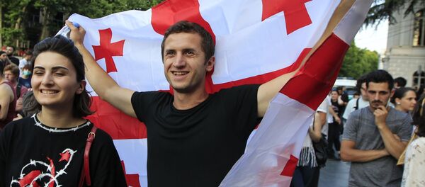 Флаги, плакаты и лозунги. Акция протеста у парламента Грузии - Sputnik Грузия