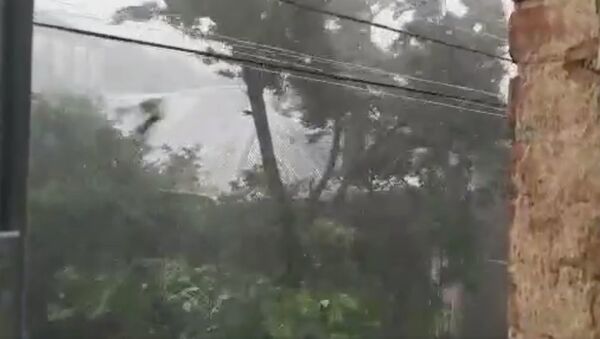 Сильный ливень и поваленные деревья: стихия накрыла столицу Грузии в преддверии протестов - Sputnik Грузия