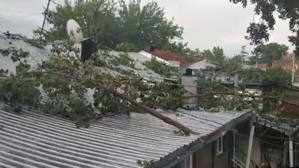 Сорванные ветви и залитые водой улицы - видео последствий урагана в столице Грузии - Sputnik Грузия