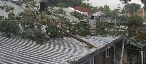 Сорванные ветви и залитые водой улицы - видео последствий урагана в столице Грузии - Sputnik Грузия