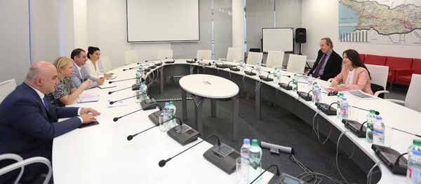 ნათია თურნავა პიტერ ფოსტერთან შეხვედრაზე ნათია თურნავა პიტერ ფოსტერთან შეხვედრაზე - Sputnik საქართველო