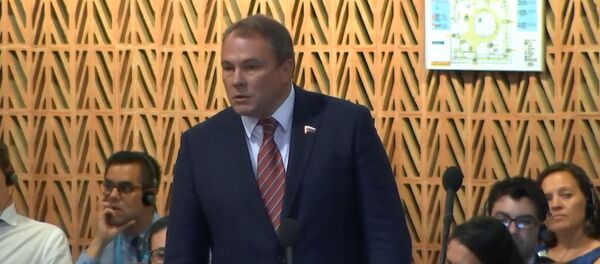  ПАСЕ вернула все полномочия российской делегации - Sputnik Грузия