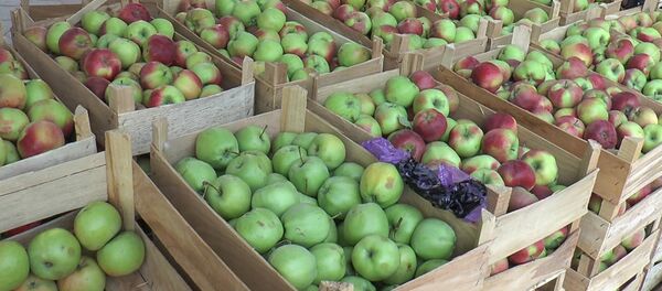 Яблоки - Sputnik Грузия
