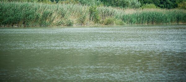 მდინარე მდინარე - Sputnik საქართველო