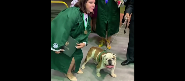 Выпускница решила сделать фото с собакой и дипломом, но что-то пошло не так – видео - Sputnik Грузия