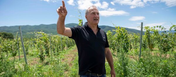 Грузинский винодел рассказал о важности российского рынка - Sputnik Грузия