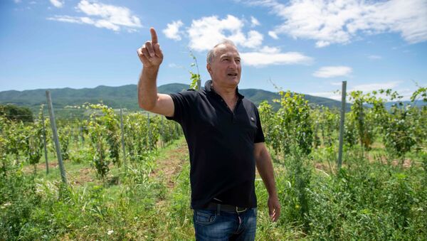 Грузинский винодел рассказал о важности российского рынка - Sputnik Грузия