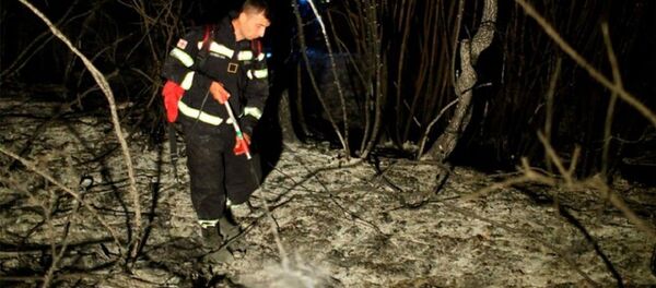 Ликвидация пожара на грузино-армянской границе - Sputnik Грузия