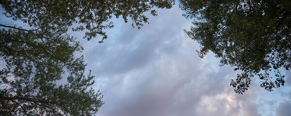 Облака в небе - Sputnik Грузия