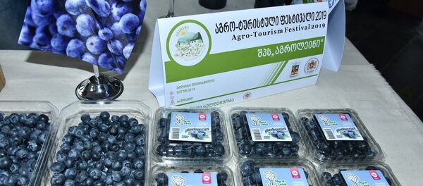 აგროტურისტული ფესტივალი წყალტუბოში აგროტურისტული ფესტივალი წყალტუბოში - Sputnik საქართველო