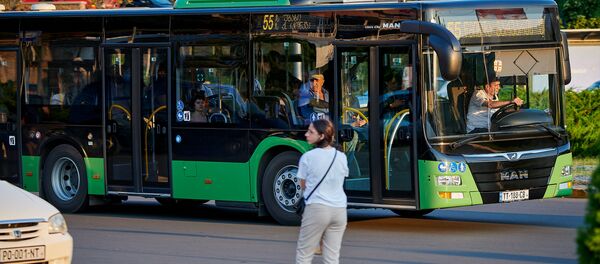 Зеленые пассажирские автобусы MAN - Sputnik Грузия