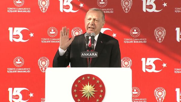 Эрдоган: мы хотим производить С-400 вместе с Россией - Sputnik Грузия