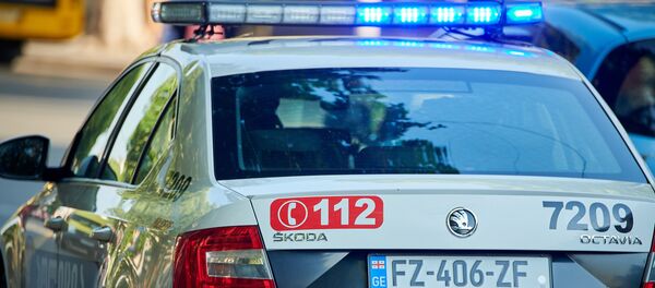 Патрульная полиция - Sputnik Грузия