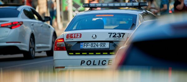 საპატრულო პოლიცია - Sputnik საქართველო