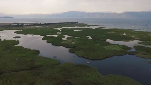 Что же происходит на Севане – кадры озера с дрона - Sputnik Грузия