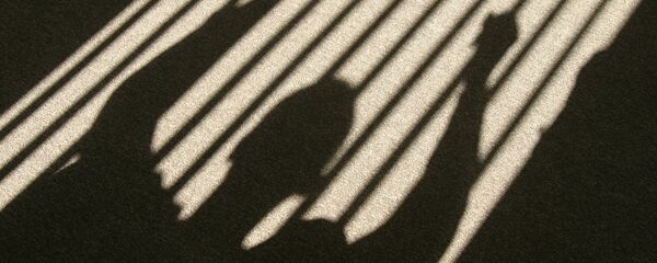 Силуэт за решеткой, архивное фото - Sputnik Грузия