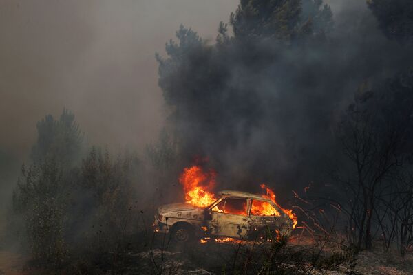 Постепенно бушуещее пламя перекинулось на территорию соседнего муниципалитета Масан, входящего в состав округа Сантарен - Sputnik Грузия