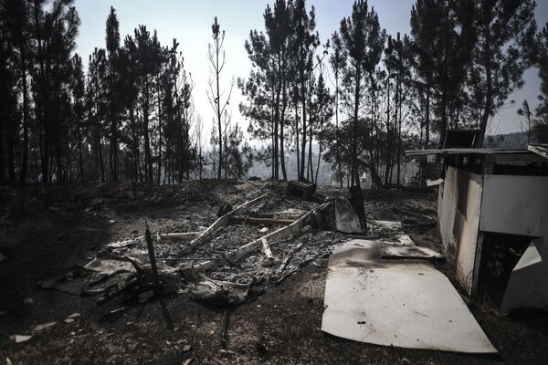 В районе пожаров эвакуируют жителей из близлежащих деревень - Sputnik Грузия