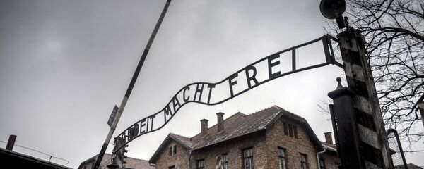 Центральные ворота бывшего концентрационного лагеря Аушвиц-Биркенау в Освенциме - Sputnik Грузия