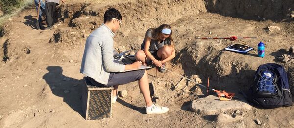 გრაკლიანის გორაზე ჩვენს ერამდე მეხუთე საუკუნის უნიკალური ნაგებობა აღმოაჩინეს - Sputnik საქართველო